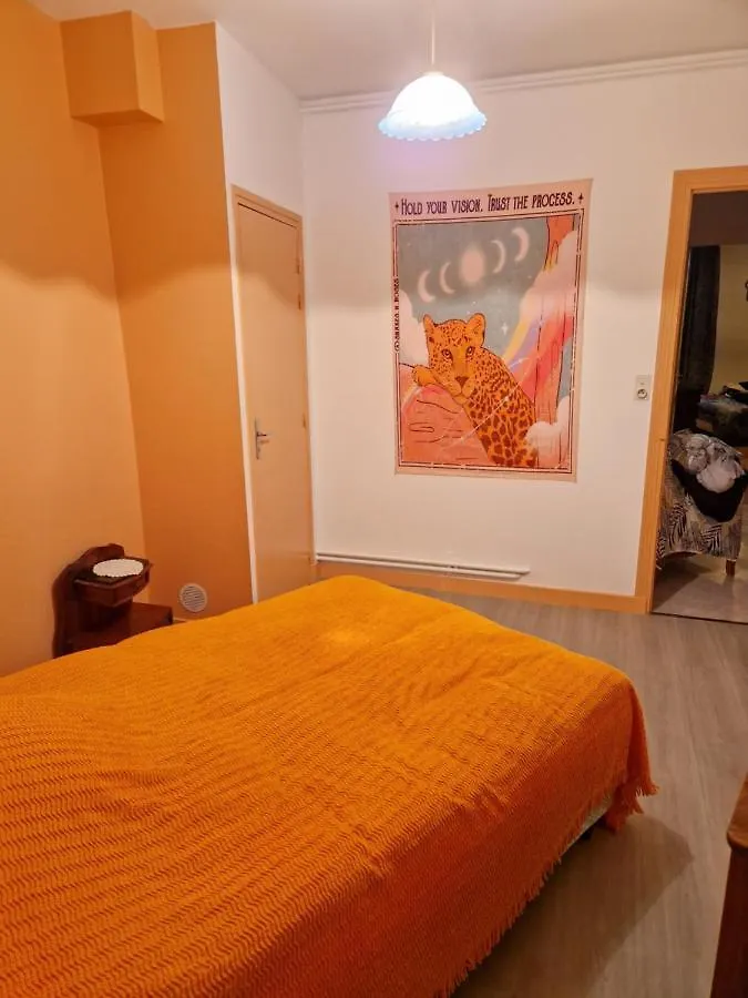 Appartement 120 M² Duplex Coeur Historique Au Calme Le Puy-en-Velay 0*,  France