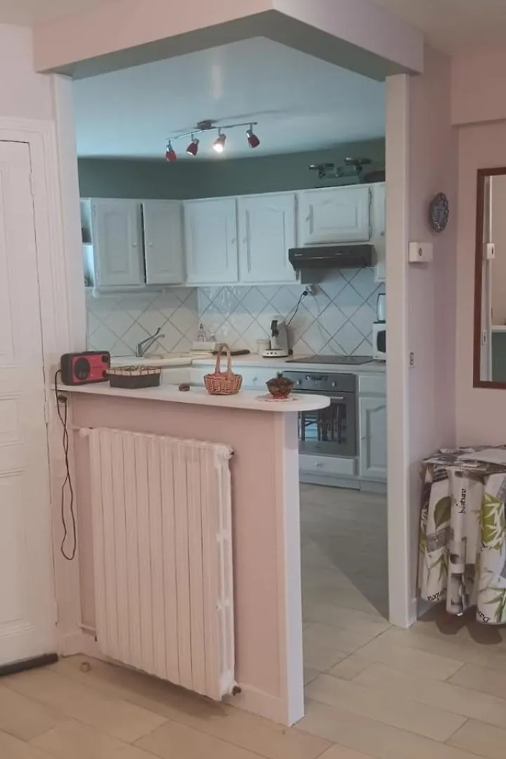 Appartement 120 M² Duplex Coeur Historique Au Calme Le Puy-en-Velay