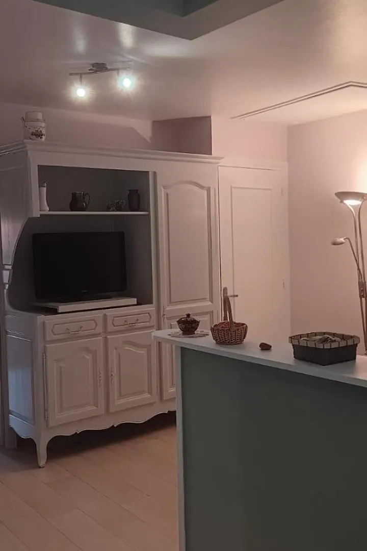 Apartment Appartement 120 M² Duplex Coeur Historique Au Calme Le Puy-en-Velay France