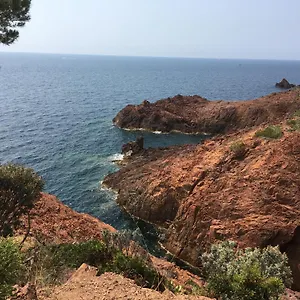 https://appartement-a-frejus-2-pieces-pour-4-personnes.fr-provencehotel.com